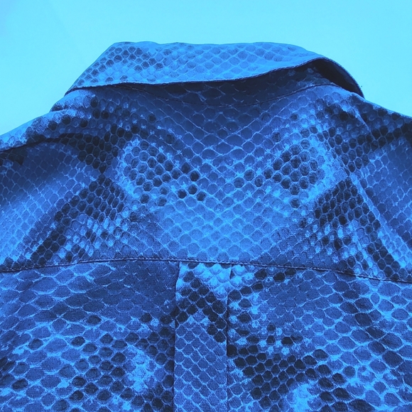 Burberry blue python button down blouse - Picture 2 of 7